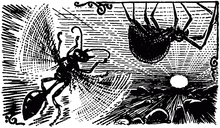 Чем питаются насекомые - i_017.png