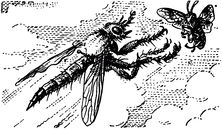 Чем питаются насекомые - i_035.png