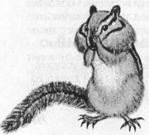 Рассказы о животных - i_034.jpg