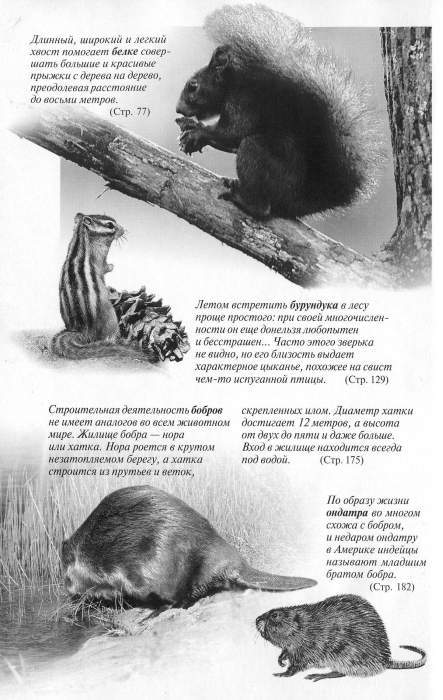 Рассказы о животных - i_054.jpg