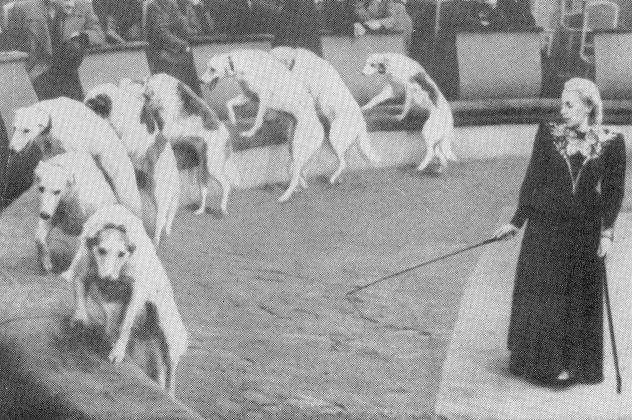 Ты покоришься мне, тигр! - _.jpg_5