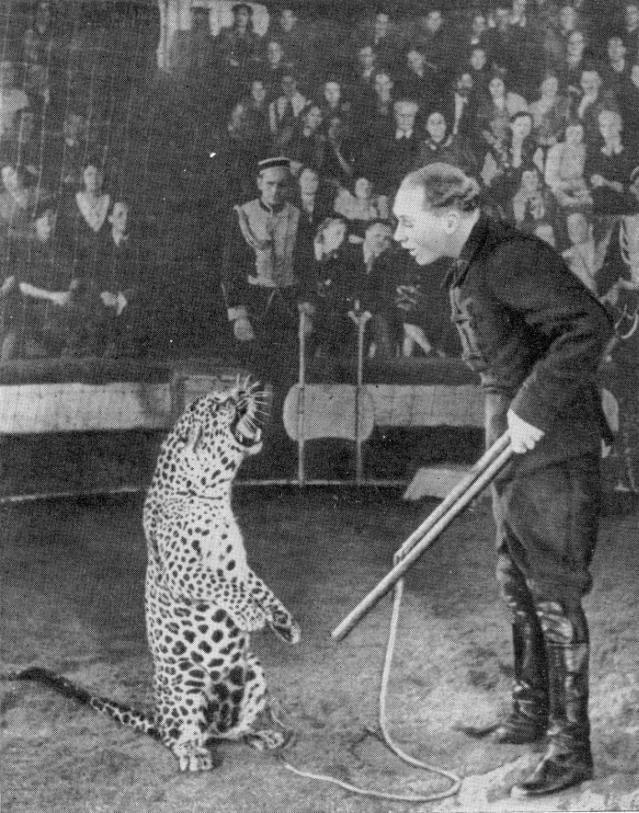 Ты покоришься мне, тигр! - _.jpg_6