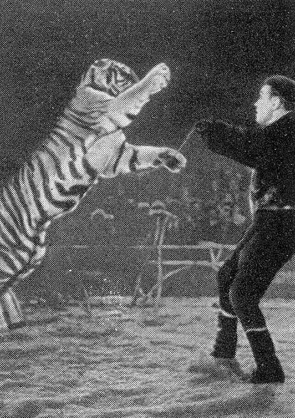 Ты покоришься мне, тигр! - _.jpg_7