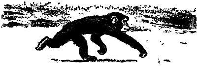 О зверях и людях - i_050.png