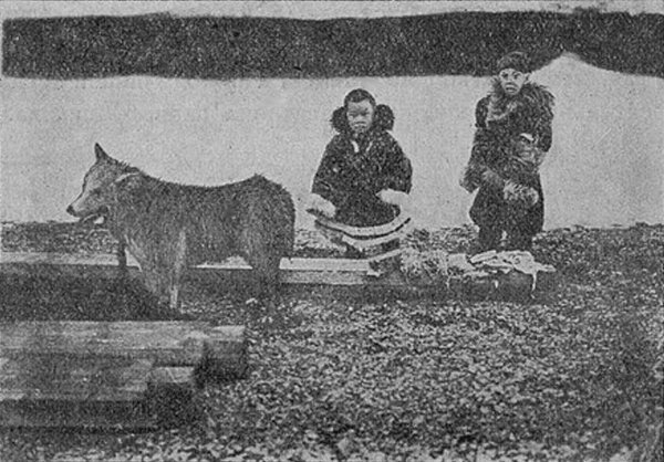 На «Литке» к острову Врангеля - i_009.jpg