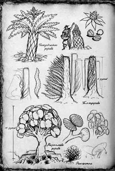 Обреченное королевство - i_018.jpg