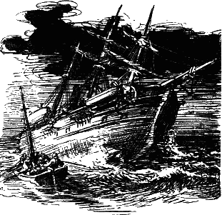 Пятьсот миллионов бегумы. Найдёныш с погибшей «Цинтии» - i_021.png
