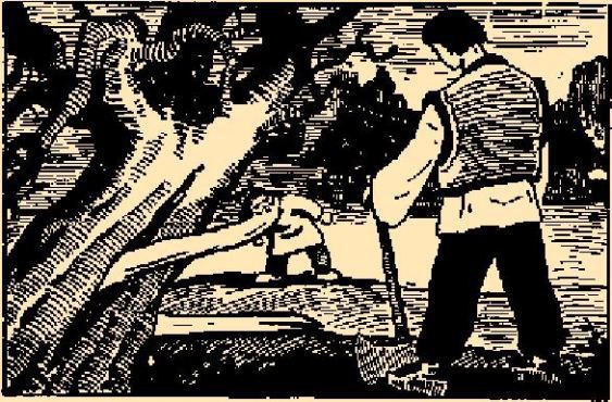 Сказки Верховины - i_102.png