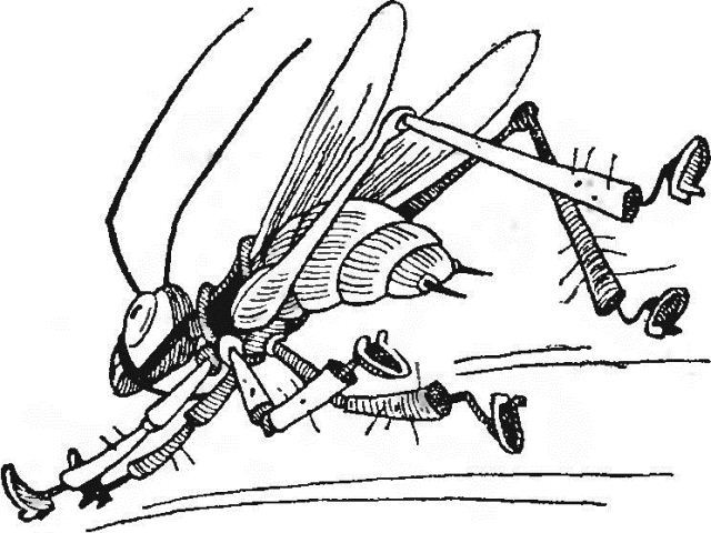 Сто пригод Барвінка та Ромашки - i_023.png