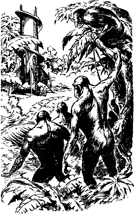 Фаэты - i_008.png