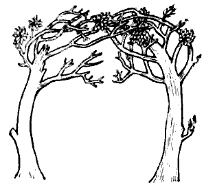 Братья: Кирилл и Мефодий - i_020.png