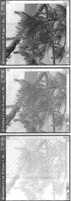 Photoshop CS2 и цифровая фотография (Самоучитель). Главы 10-14 - Ris_11_6.jpg