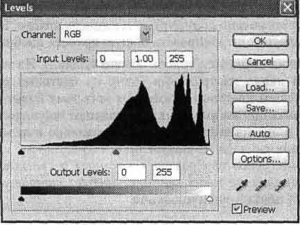 Photoshop CS2 и цифровая фотография (Самоучитель). Главы 10-14 - _14_10.jpg