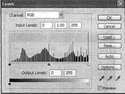 Photoshop CS2 и цифровая фотография (Самоучитель). Главы 10-14 - _14_14.jpg