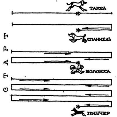 В поисках похищенной марки - _015.jpg