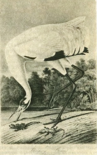 Приключения знаменитых книг - i_069.jpg