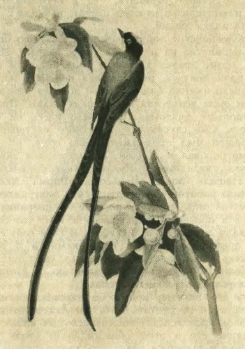 Приключения знаменитых книг - i_070.jpg