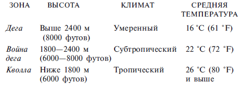 Абиссинцы. Потомки царя Соломона - _20110523_155243.png