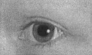 Photoshop CS2 и цифровая фотография (Самоучитель). Главы 15-21. - _17_11.jpg