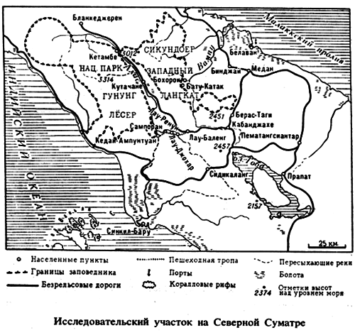 По следам рыжей обезьяны - i_027.png