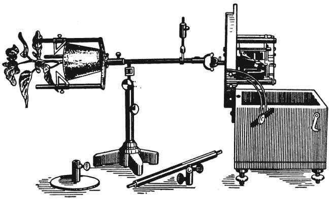Арабески ботаники. Книга вторая: Томские корни - klio.jpg