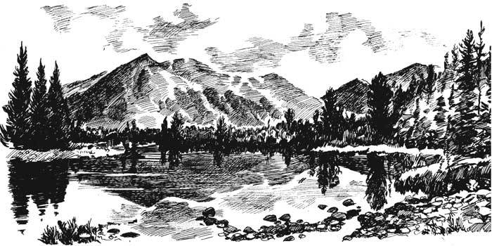 Арабески ботаники. Книга вторая: Томские корни - ssayan.jpg