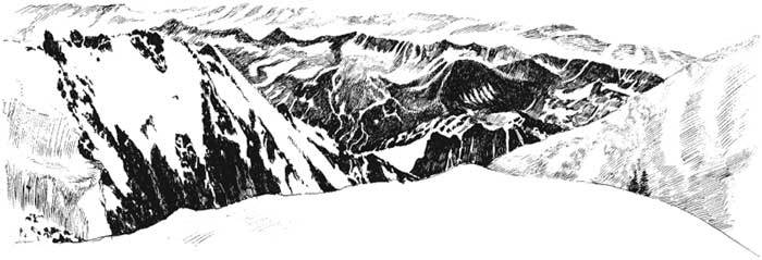 Арабески ботаники. Книга вторая: Томские корни - beluha.jpg