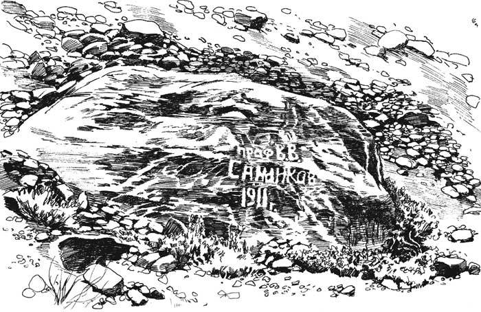 Арабески ботаники. Книга вторая: Томские корни - kamen.jpg