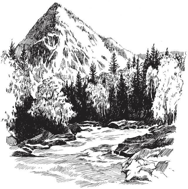 Арабески ботаники. Книга вторая: Томские корни - gornrek.jpg