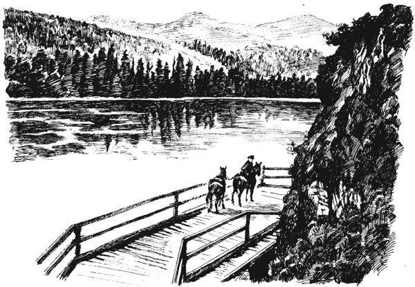 Арабески ботаники. Книга вторая: Томские корни - bom.jpg