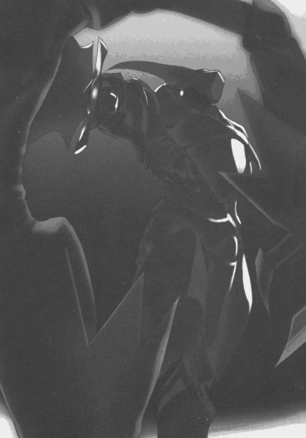 Принцесса багрового урагана - doc2fb_image_02000011.jpg