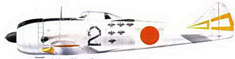 Японские асы. Армейская авиация 1937-45 - pic_159.jpg
