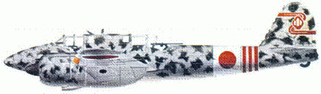 Японские асы. Армейская авиация 1937-45 - pic_164.png