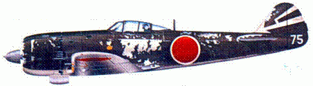 Японские асы. Армейская авиация 1937-45 - pic_174.png