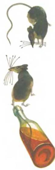 Рукокрылые, приматы, неполнозубые, панголины, зайцеобразные, грызуны, китообразные, ластоногие, трубкозубые, даманы, сирены и хоботные - i_145.jpg