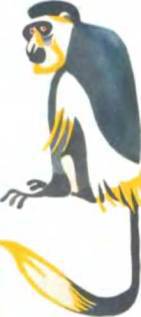 Рукокрылые, приматы, неполнозубые, панголины, зайцеобразные, грызуны, китообразные, ластоногие, трубкозубые, даманы, сирены и хоботные - i_322.jpg