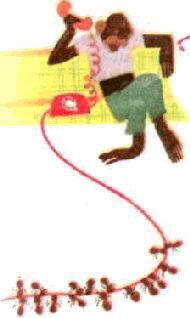 Насекомые. Пауки - i_065.jpg