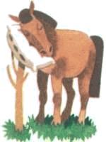 Домашние животные - i_093.jpg