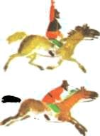 Домашние животные - i_095.jpg