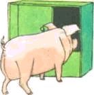 Домашние животные - i_154.jpg