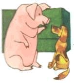 Домашние животные - i_156.jpg