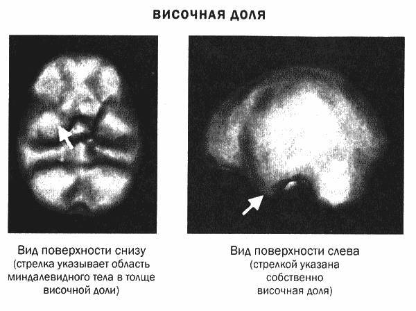 Мозг и душа - _15.jpg