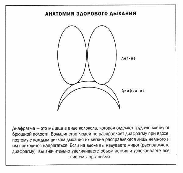 Мозг и душа - _38.jpg