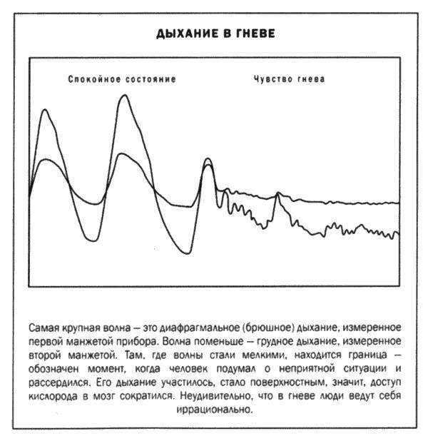 Мозг и душа - _40.jpg