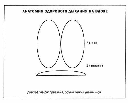 Мозг и душа - _39.jpg