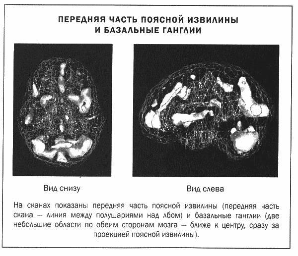 Мозг и душа - _11.jpg