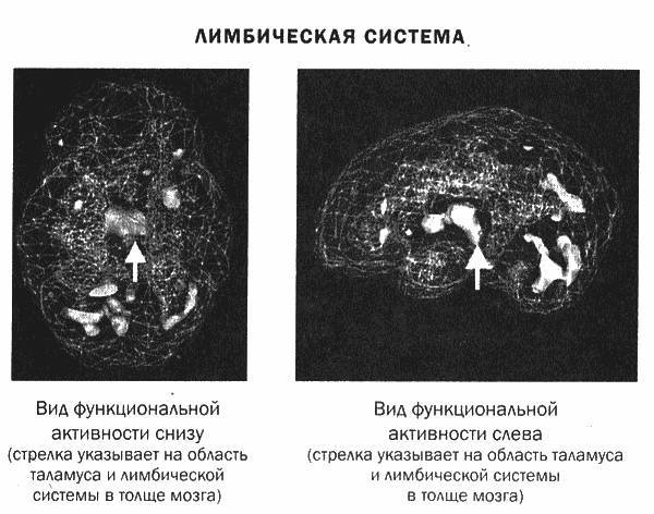 Мозг и душа - _16.jpg