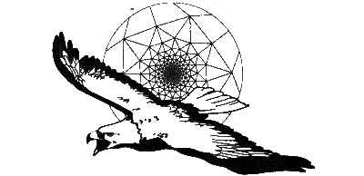 Животные анализируют мир - i_008.png