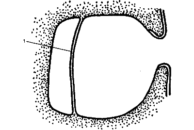 Животные анализируют мир - i_015.png