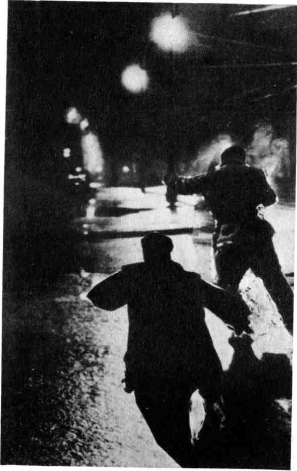 Знакомьтесь: МУР - img_25.jpeg